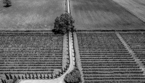Fotografia aerea Aziendale con Drone in Versilia